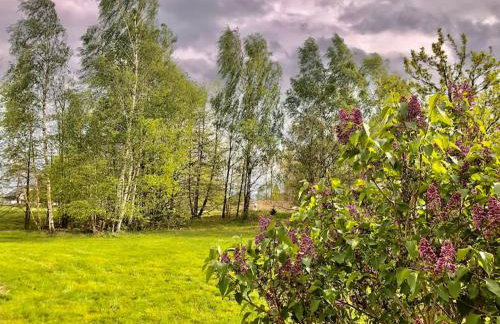 W Karkonoszach na Chacie jacuzzi, sauna, bilard, leśny park - Foto 14