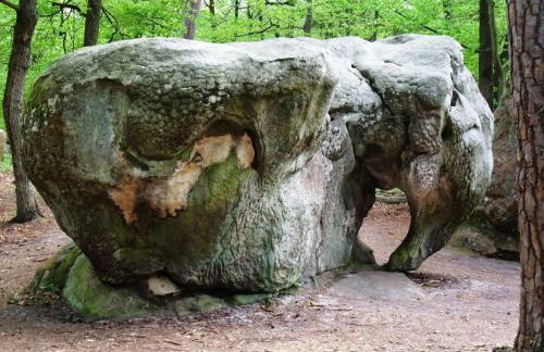 Millygite roulotte - 4 seasons Chalet-on-wheels - Foto 17