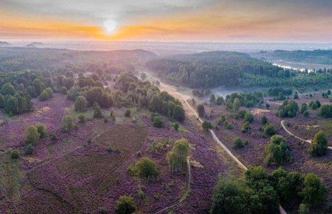 Forest Chalet in Lanklaar - Foto 34