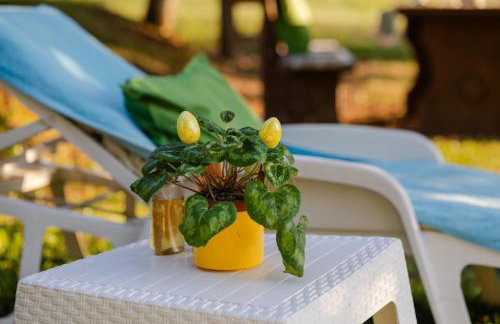 Kozline Kordun - Foto 65