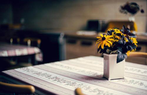 Winnica Dwie Granice Agroturystyka Przysieki - Foto 39