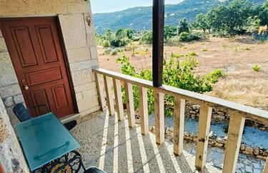 Quinta das Amendoeiras - Foto 1