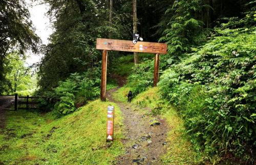 Hand Apartment, Llanrwst, Conwy, Snowdonia - Photo 26