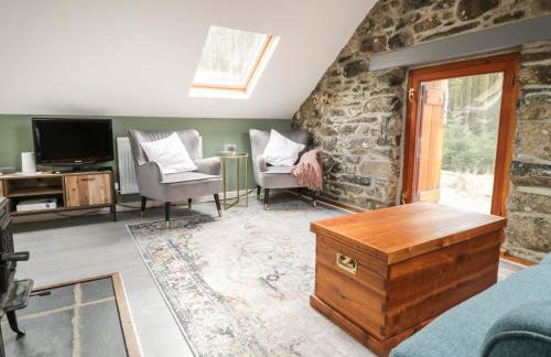 Brithgwm Canol - Foto 5