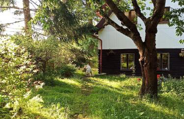 GÓRNA VIBES - Foto 12