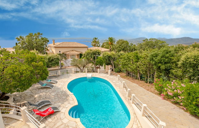 Les Gaulois - Foto 25