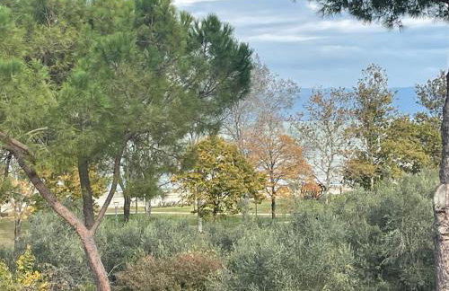 Le Margherite - Foto 17