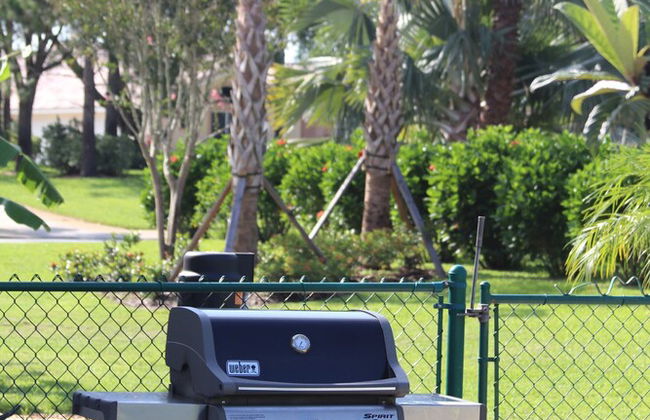 Swiss 105 - Lake Olsen - Photo 38