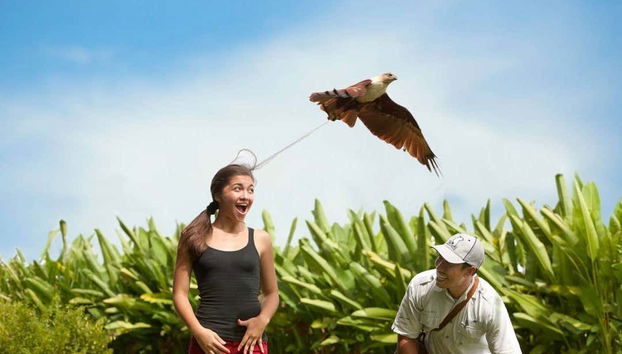 Bali Bird Park Ticket - Foto 5