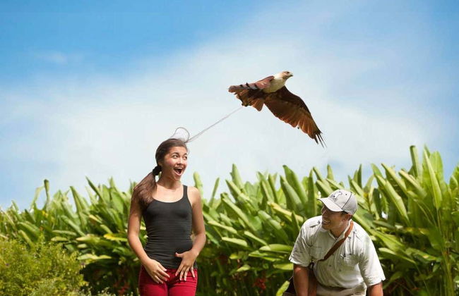 Entrada a Bali Bird Park - Foto 5