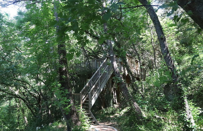 Orion Tree houses - Foto 3