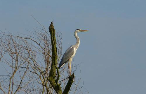 Große Ferienwohnung 85qm - Foto 27
