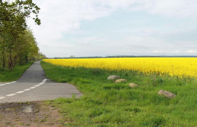 Spacious Apartment in Wohlenberg Germany near Beach - Foto 37