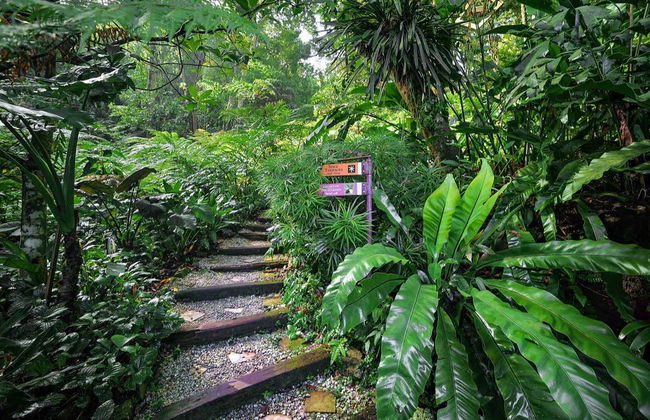 Entrada al Jardín de Especias Tropicales - Foto 2