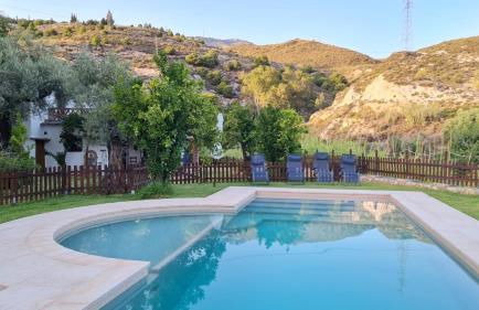 Tropical Studio - Foto 37