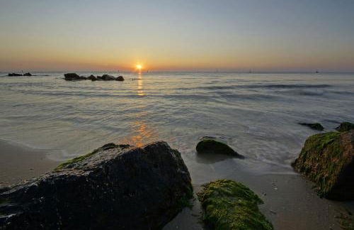 Camillo's Home - Foto 10