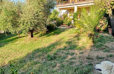 Colle Perazzoni - Foto 47