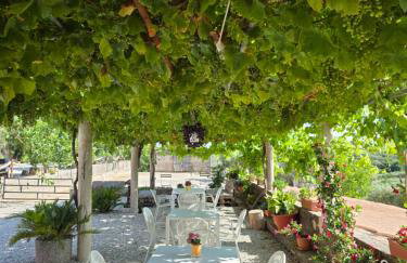 Tenuta degli Ulivi - Dimora Contadina - Foto 72