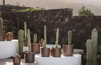 Canaryislandshost I Natural - Foto 38