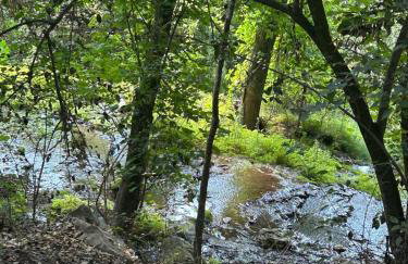 Spacious, Peaceful, Historic - 3 Minute Walk to the Square - Foto 67