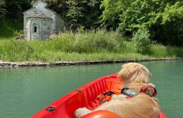 Il ciliegio sul lago - Photo 22