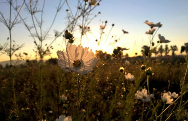 Welgelegen Manor - Photo 48