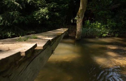 Otter Camp Private Riverside Glamping with Hot Tub - Foto 33