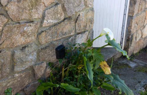 Apartamento Saiáns - Foto 53