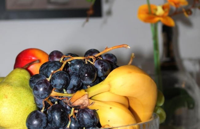 Malo Misto Apartments - Foto 32