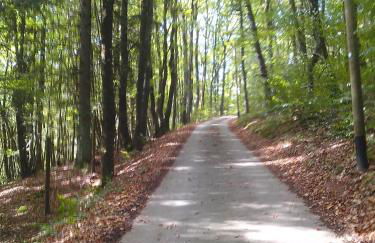 Ferienwohnung am Nationalpark - Foto 19