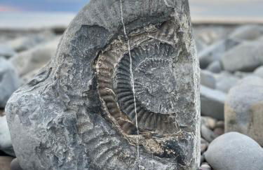 Pardlestone Farm – Self-Catering Cottages - Foto 73