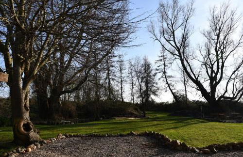 Ferienwohnung Boddenliebe - Foto 26