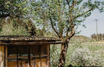 4 Sterne Ferienwohnung Hochries - Foto 43