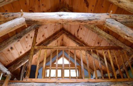 Cozy Lakefront Cabin Rental in the Woodlands of Empire, Michigan - Foto 15