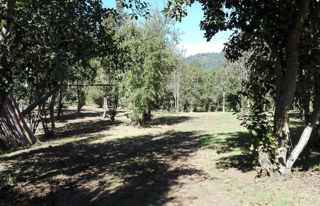 Cabaña Rústica 2 Maravillosa,con Troncos Nativos, con Orilla de Río Trancura - Photo 52