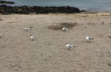 Beachside Apartment - Foto 37