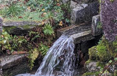 Maison au coeur de la forêt dans le Sidobre - GR36 - Foto 12