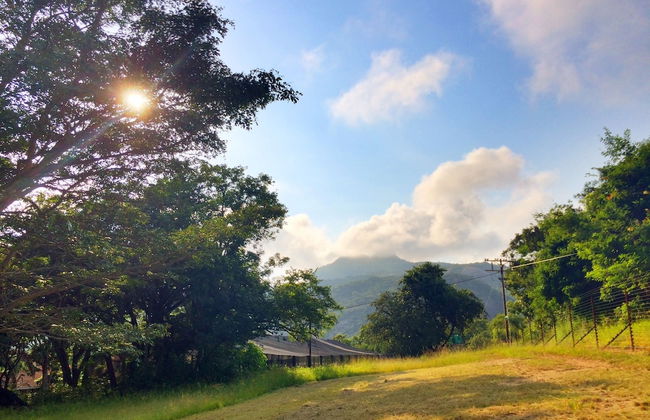 Near2Numbi - Foto 80