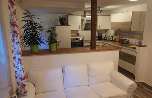 Wiesenblick - Foto 23