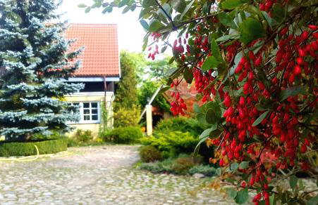 Willa Reglówka Stylowy dom Pachnący ogród - Foto 24