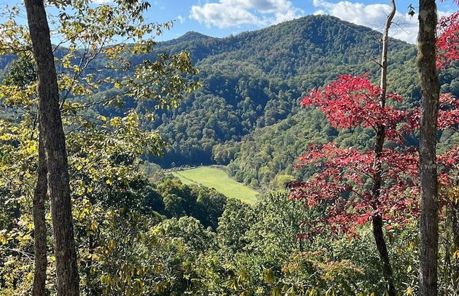 A Bears Heaven - Foto 16