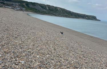 Chesil Beach View - Photo 19