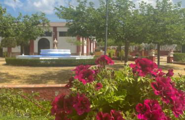 Casa Rural Dehesa del colmenar - Foto 11