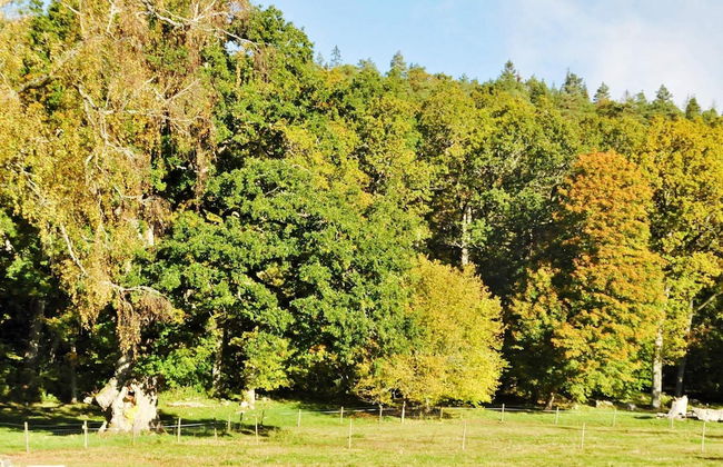 Holiday Home in Vargön - Photo 18