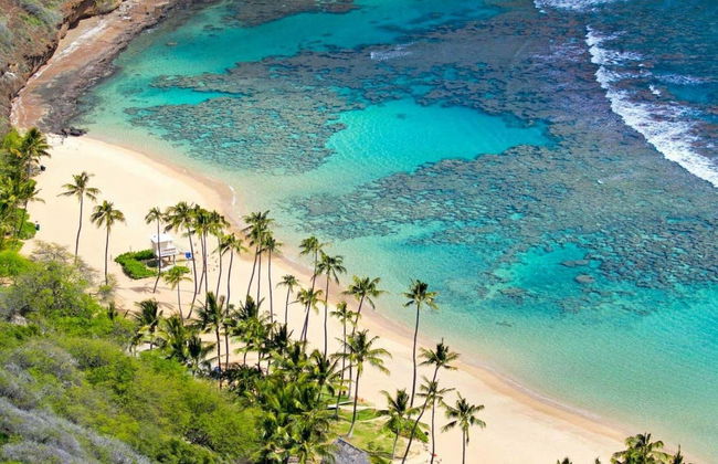 Cham Island Snorkeling - Photo 4