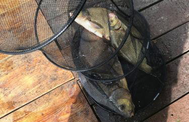 Jaromierz Dom nad jeziorem - Foto 21