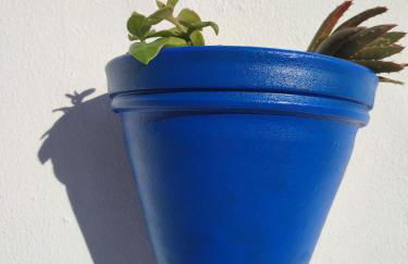 10 da Muralha - Foto 32