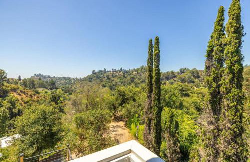 Hilltop Designer Midcentury Modern 4BR Pool HotTub - Foto 31