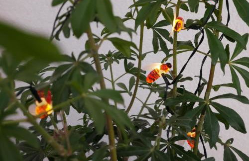 Loc' Maria - Sables Rouges - Photo 22