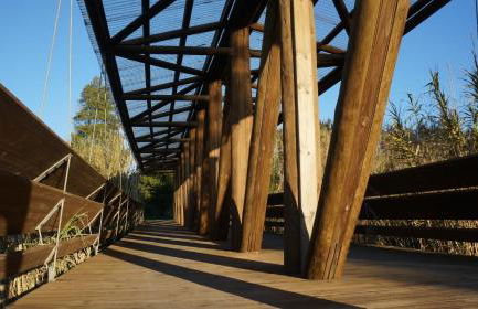 Forest Terrace Praia de Mira - Foto 35